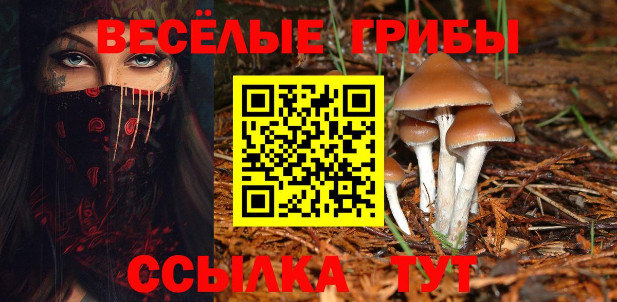 Галлюциногенные грибы ЛСД  Вход с VPN  Тольятти 