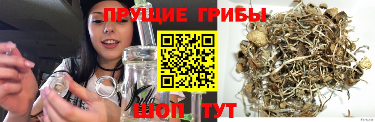 Псилоцибиновые грибы мухоморы Тольятти